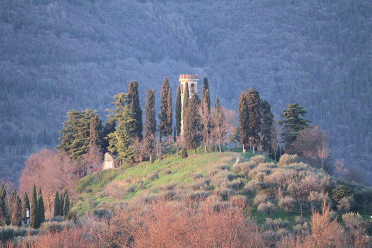 La Torre di Ezzelino